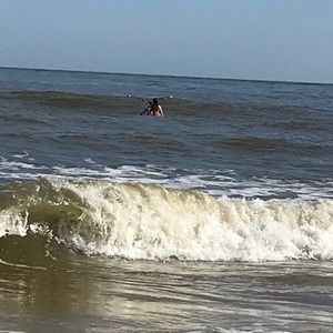 Meet your Posher, Deana